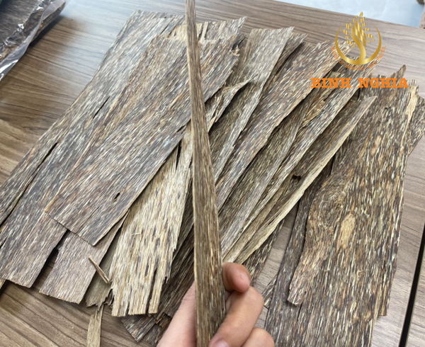 حالة تصدير خشب العود في فيتنام